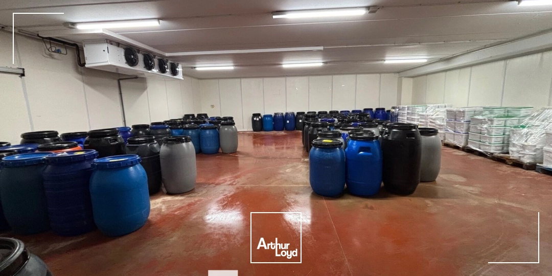 Locaux d'activité & Entrepôts - Location - MONTAGNY - 69700 - 2050-2050 - 7665918