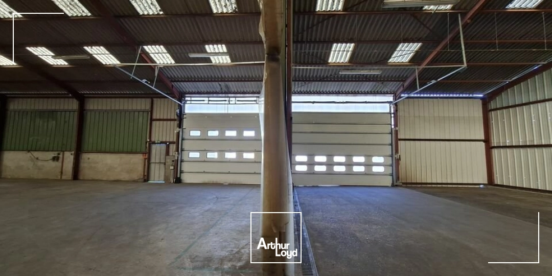 Locaux d'activité & Entrepôts - Location - CHAMPAGNE - 72470 - 950-950 - 7669869