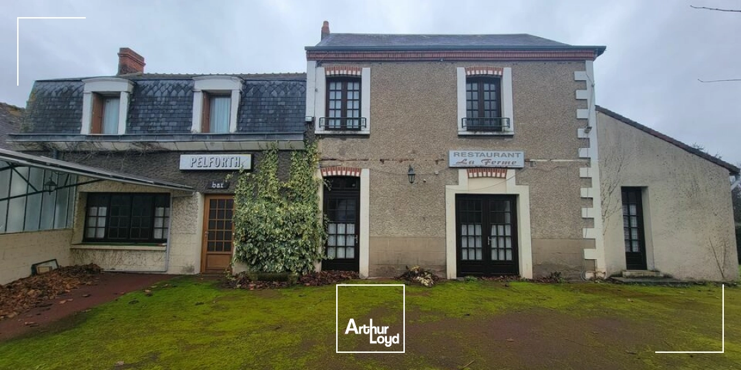 Locaux commerciaux - Vente - INGRANDES - 86220 - 300-300 - 7675326