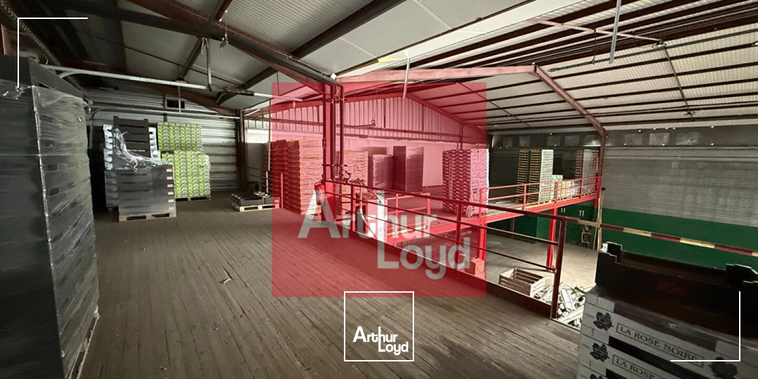 Locaux d'activité & Entrepôts - Location - LAFRANCAISE - 82130 - 2890-2890 - 7687200