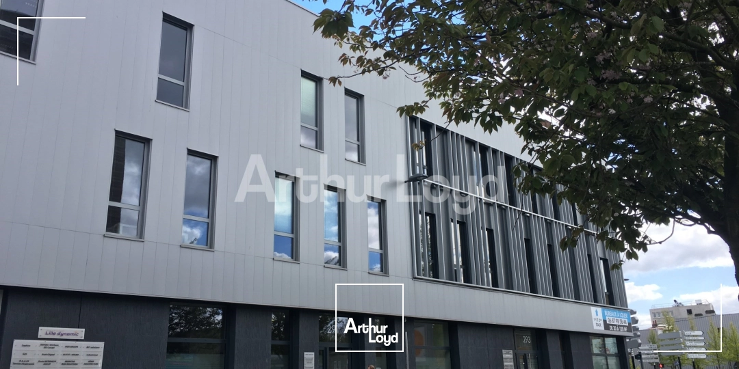 Bureaux - Location - LILLE - 59000 - 31-161 - 7717838