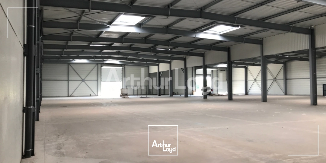 Locaux d'activité & Entrepôts - Location - SARS ET ROSIERES - 59230 - 2820-2820 - 7718380