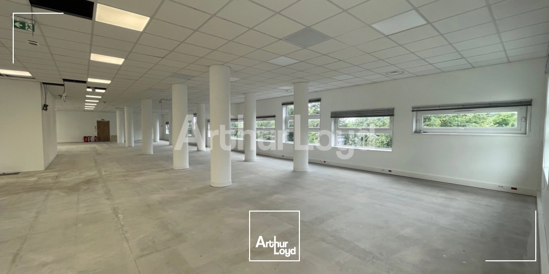 Bureaux - Location - LILLE - 59000 - 505-505 - 7718504
