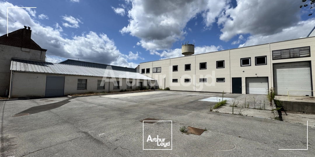 Locaux d'activité & Entrepôts - Location - CROIX - 59170 - 2351-2351 - 7719058