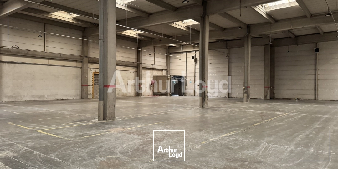 Locaux d'activité & Entrepôts - Location - CROIX - 59170 - 2351-2351 - 7719063