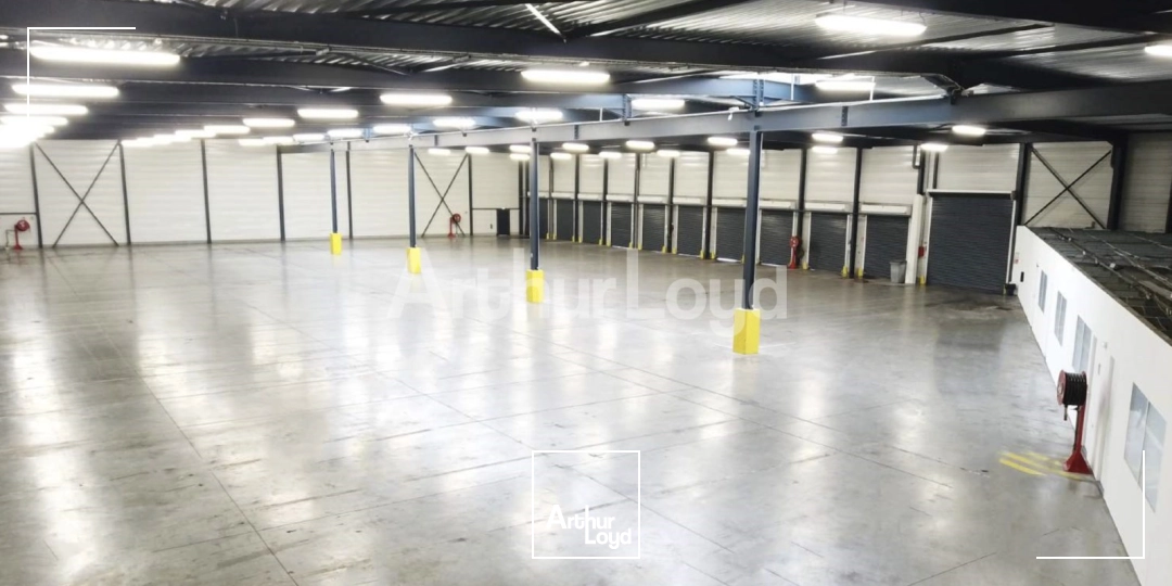 Locaux d'activité & Entrepôts - Location - RONCQ - 59223 - 300-2800 - 7719467