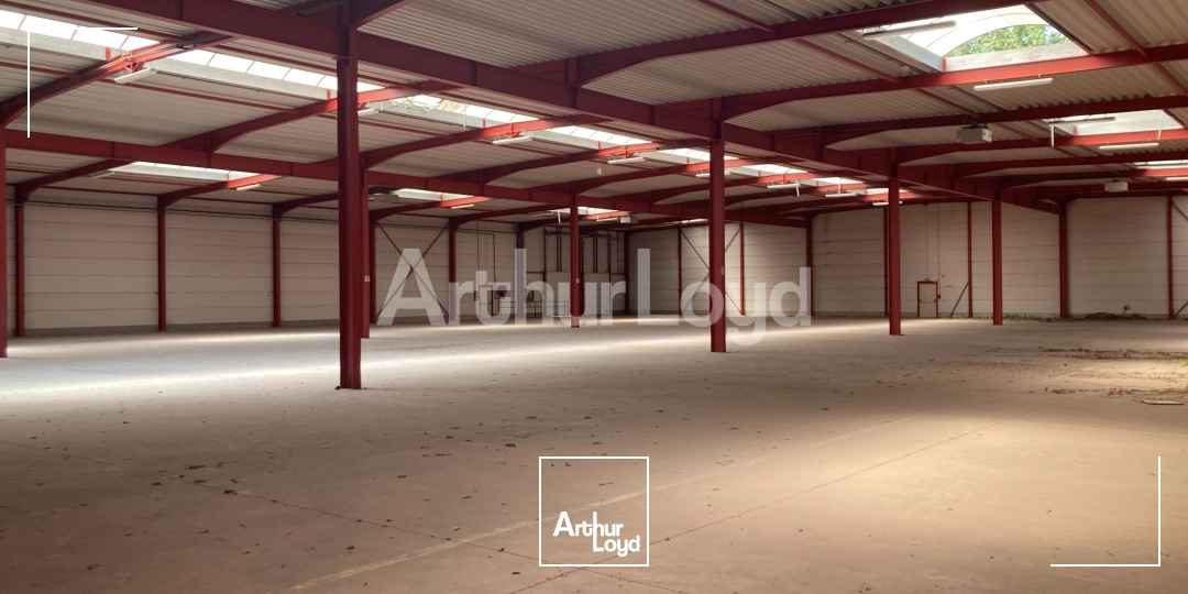 Locaux d'activité & Entrepôts - Location - HALLUIN - 59250 - 2640-2640 - 7719583