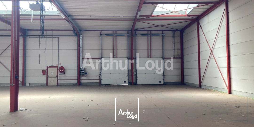 Locaux d'activité & Entrepôts - Location - HALLUIN - 59250 - 2640-2640 - 7719584