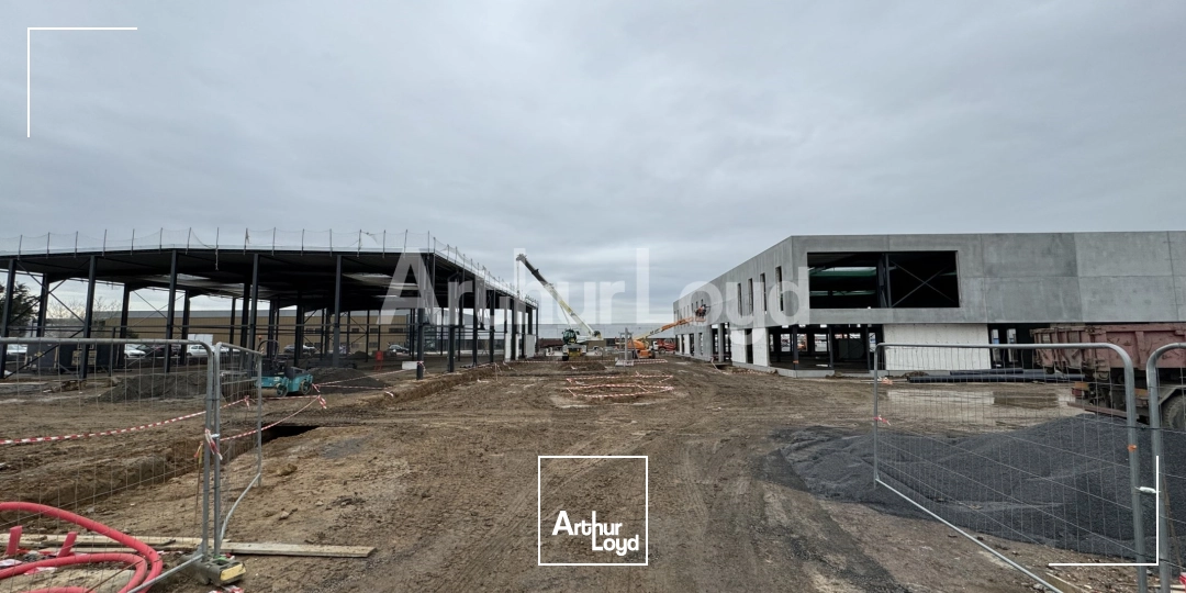 Bureaux - Location - SECLIN - 59113 - 640-640 - 7719710