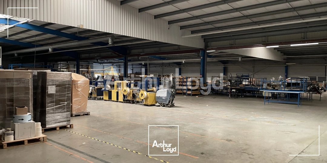 Locaux d'activité & Entrepôts - Location - NOYELLES SOUS LENS - 62221 - 845-17290 - 7720238