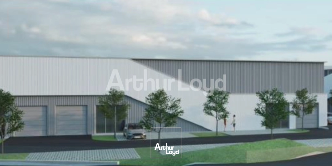 Locaux commerciaux - Location - PETITE FORET - 59494 - 1174-1174 - 7721314