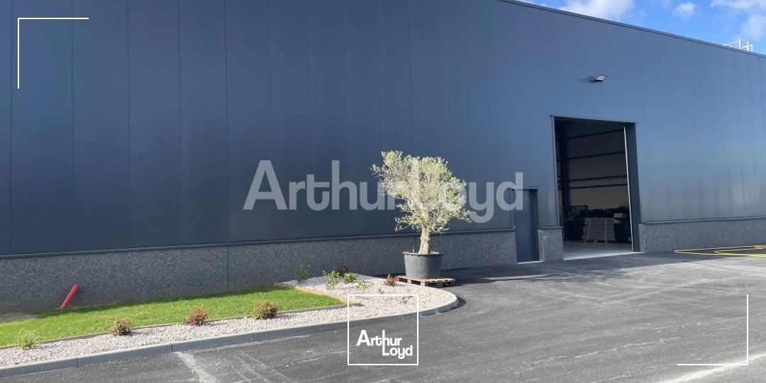 Locaux d'activité & Entrepôts - Location - THELUS - 62580 - 960-960 - 7721833