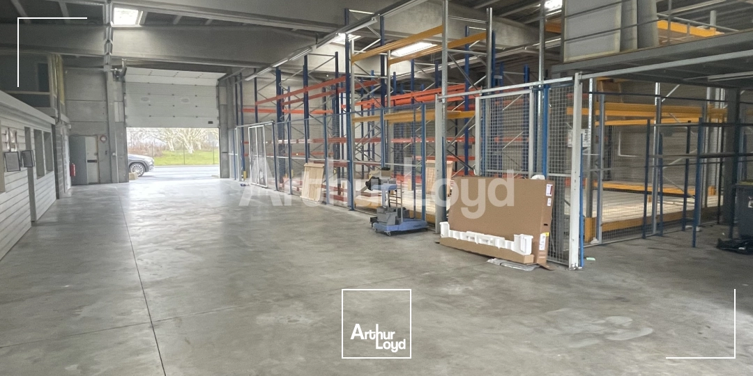 Locaux d'activité & Entrepôts - Location - TEMPLEMARS - 59175 - 674-674 - 7722577