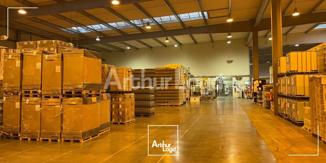 Locaux d'activité & Entrepôts - Location - DOUAI - 59500 - 8200-8200 - 7723482