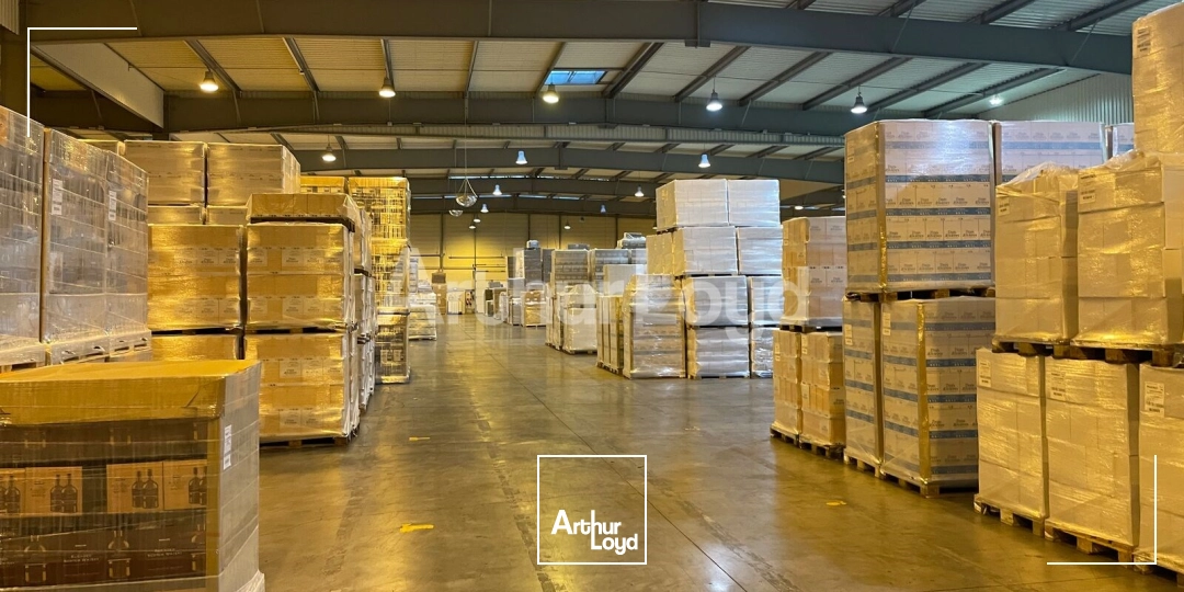 Locaux d'activité & Entrepôts - Location - DOUAI - 59500 - 8200-8200 - 7723484