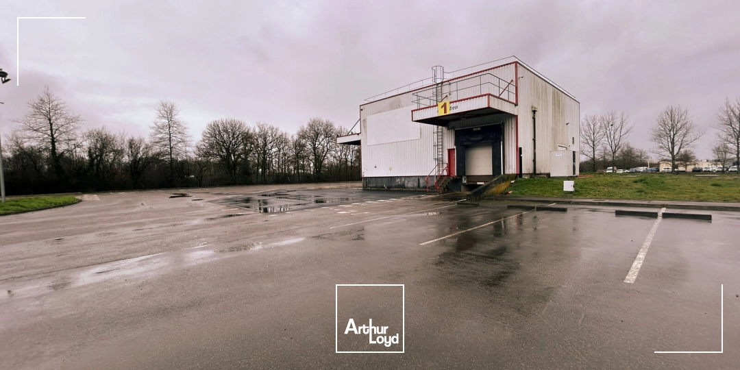 Locaux d'activité & Entrepôts - Vente - SAINT JEAN DE BOISEAU - 44640 - 478-478 - 7749506