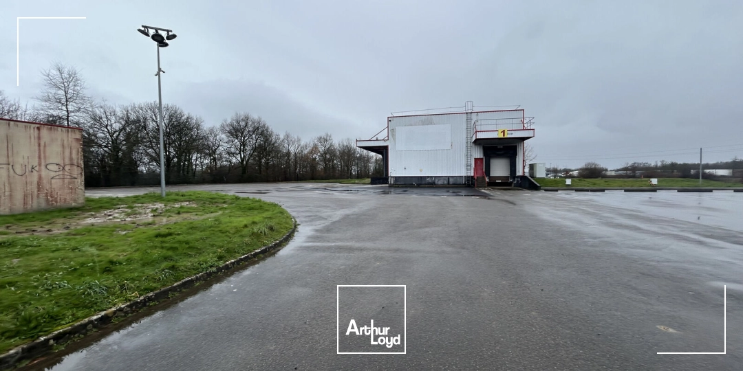 Locaux d'activité & Entrepôts - Vente - SAINT JEAN DE BOISEAU - 44640 - 478-478 - 7749507