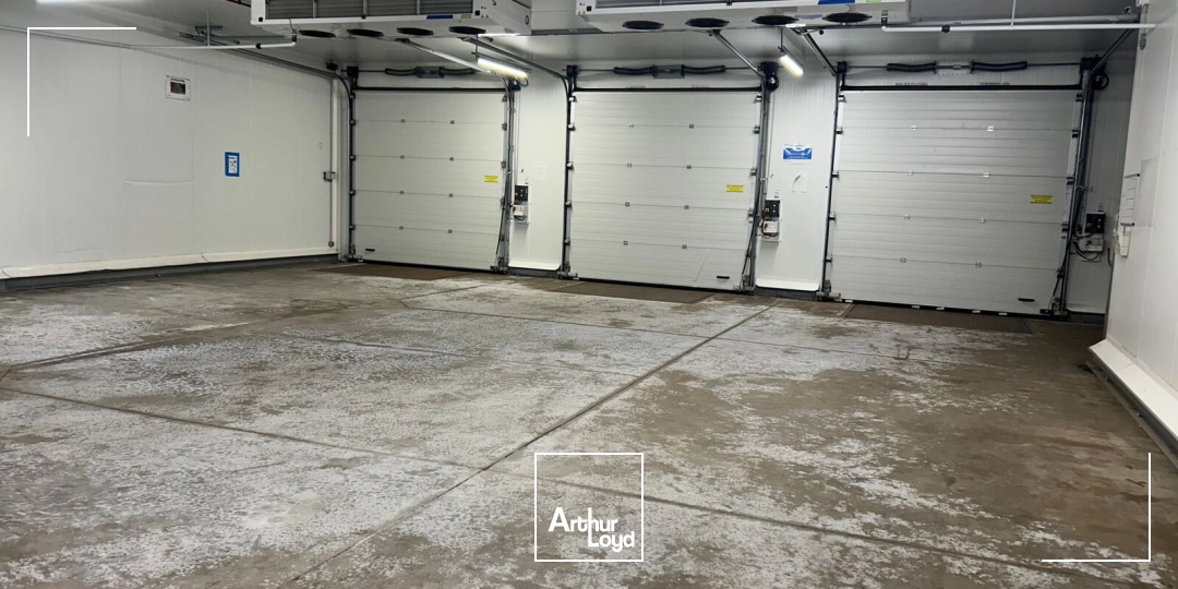 Locaux d'activité & Entrepôts - Vente - SAINT JEAN DE BOISEAU - 44640 - 478-478 - 7749508