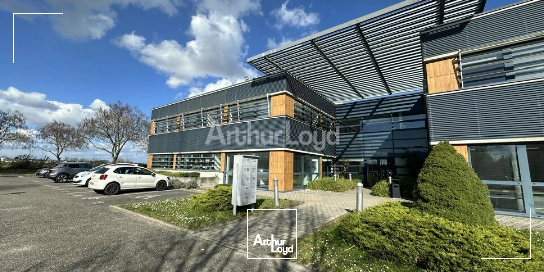 Bureaux - Location - SCHILTIGHEIM - 67300 - 69-1048 - 7752277
