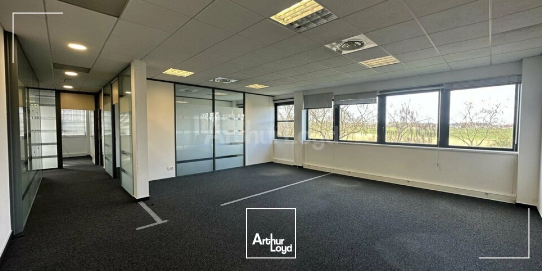 Bureaux - Location - SCHILTIGHEIM - 67300 - 69-1048 - 7752287
