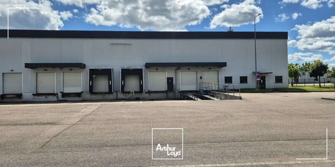 Locaux d'activité & Entrepôts - Location - LONGVIC - 21600 - 1589-1589 - 7758951