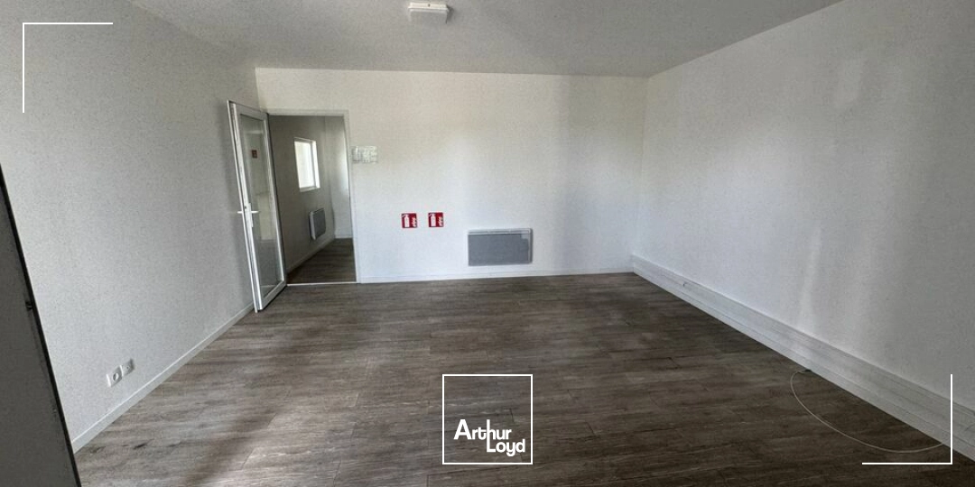 Locaux d'activité & Entrepôts - Location - BALLAN MIRE - 37510 - 250-250 - 7778431