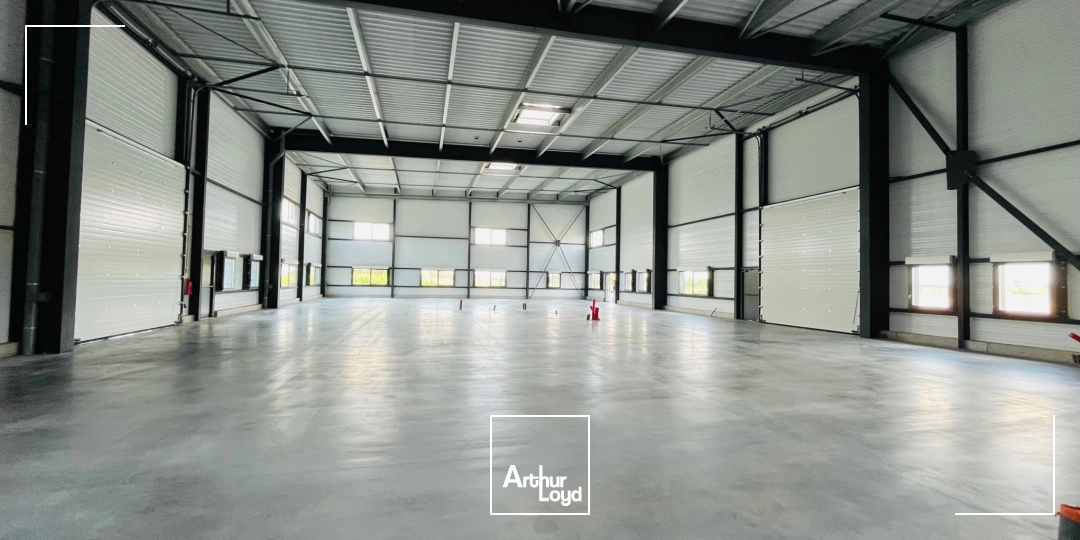 Locaux d'activité & Entrepôts - Vente - DONGES - 44480 - 368.9-1479.4 - 7786276