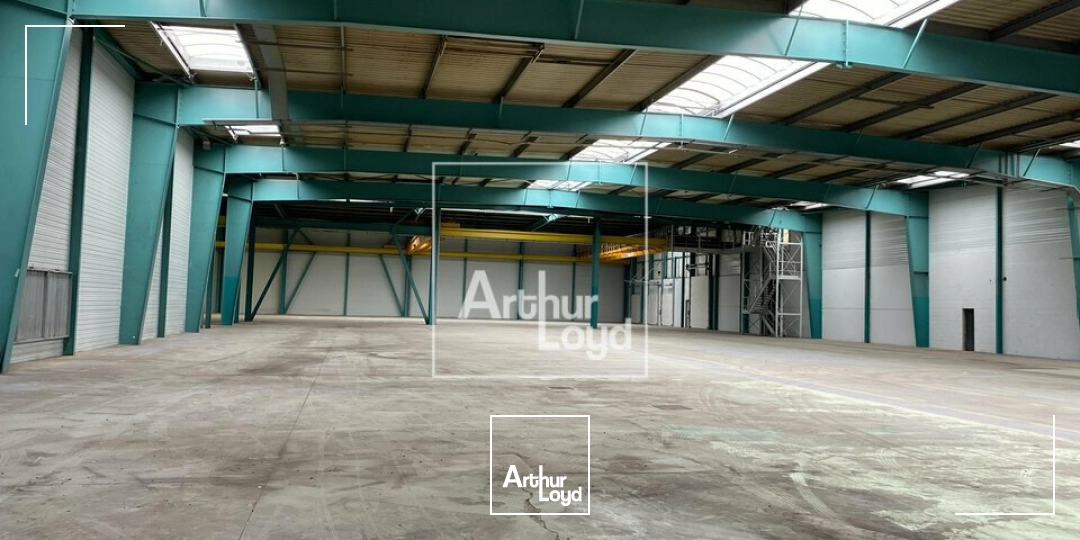 Locaux d'activité & Entrepôts - Location - LIEUSAINT - 77127 - 824-824 - 7790825