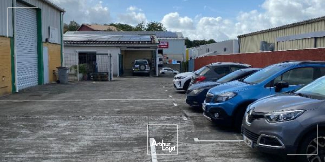 Locaux d'activité & Entrepôts - Location - Sainte Luce - 97228 - 170-170 - 7808816