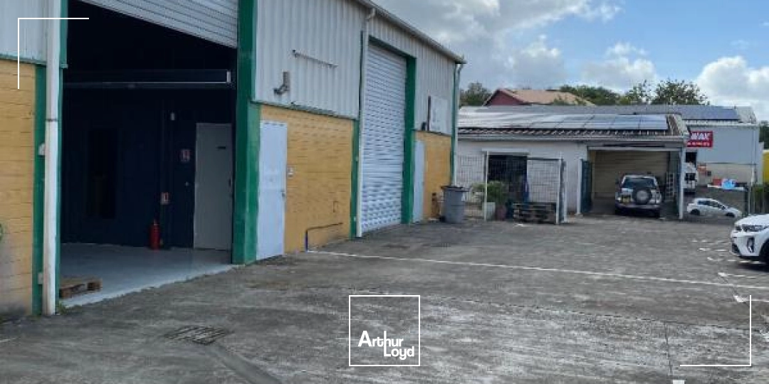 Locaux d'activité & Entrepôts - Location - Sainte Luce - 97228 - 170-170 - 7808814