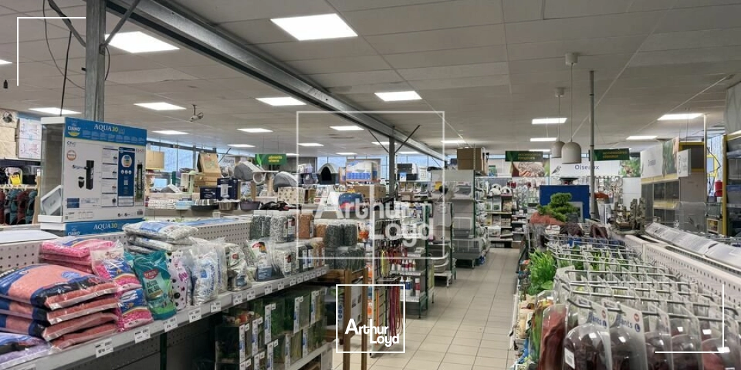 Locaux commerciaux - Vente - NEMOURS - 77140 - 900-900 - 7822816
