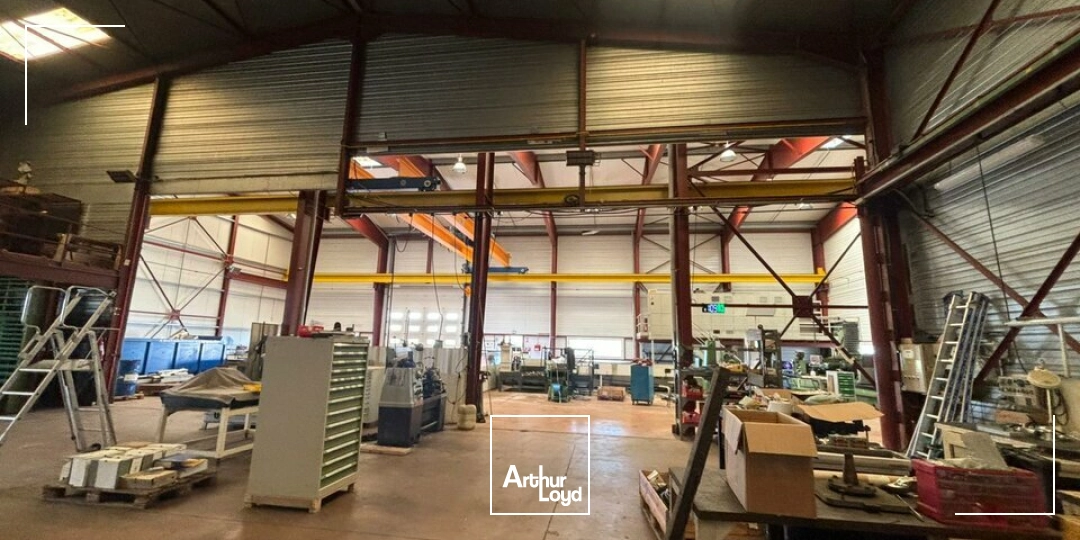 Locaux d'activité & Entrepôts - Vente - LA JAUDONNIÈRE - 85110 - 500-2250 - 7826363