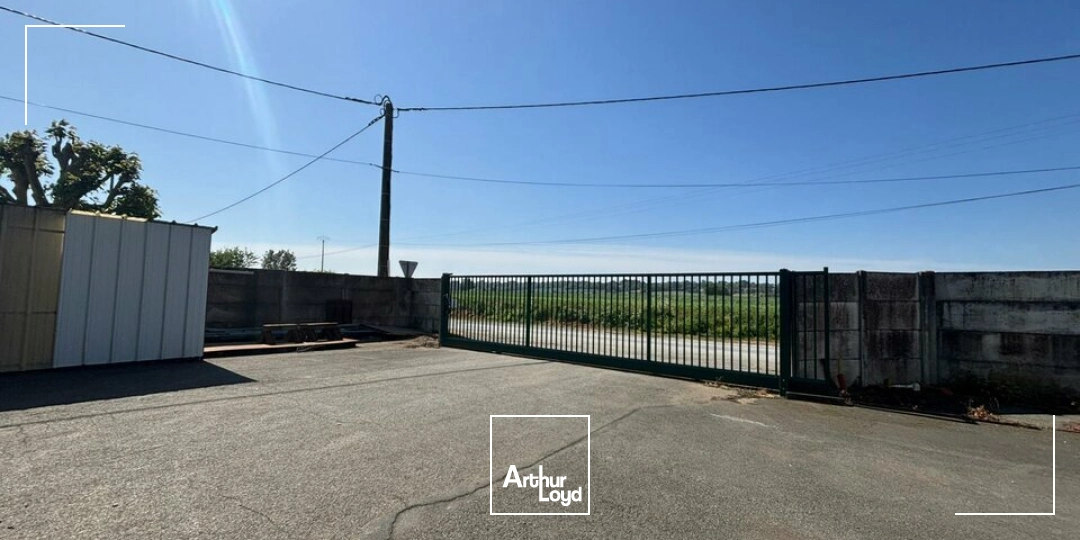 Locaux d'activité & Entrepôts - Vente - LA JAUDONNIÈRE - 85110 - 500-2250 - 7826368