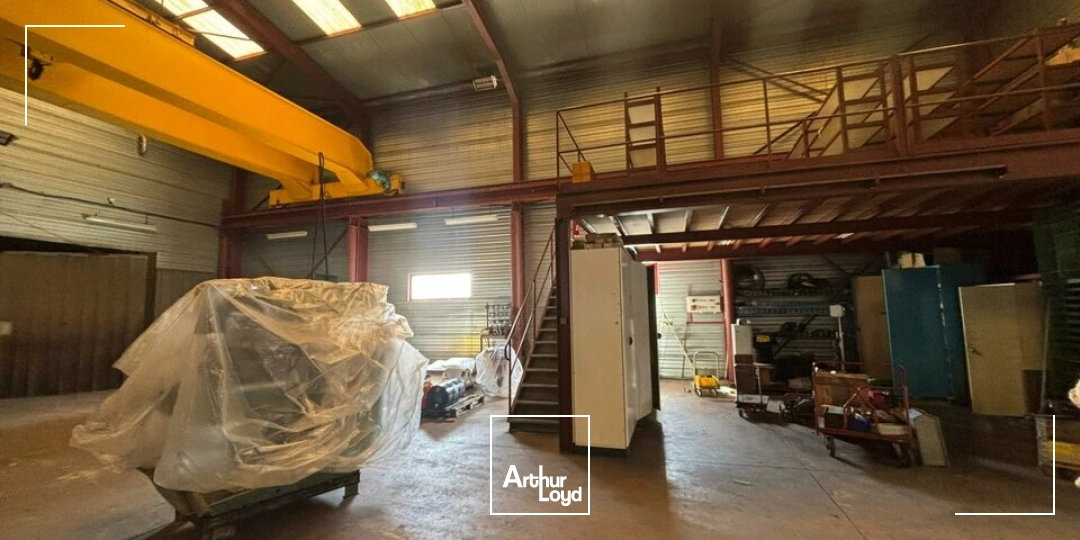 Locaux d'activité & Entrepôts - Vente - LA JAUDONNIÈRE - 85110 - 500-2250 - 7826366