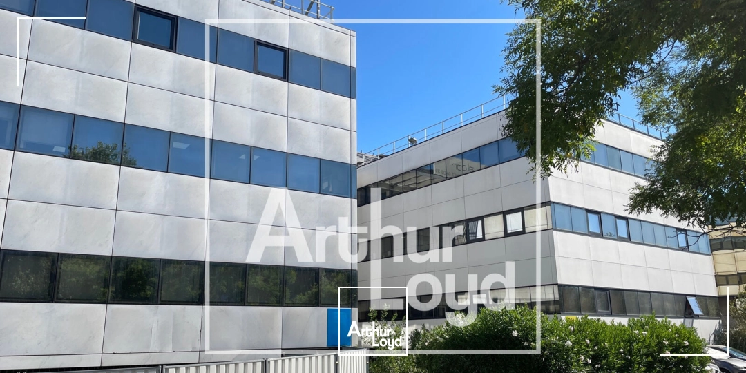 Bureaux - Vente - MONTPELLIER - 34000 - 250-250 - 7826458