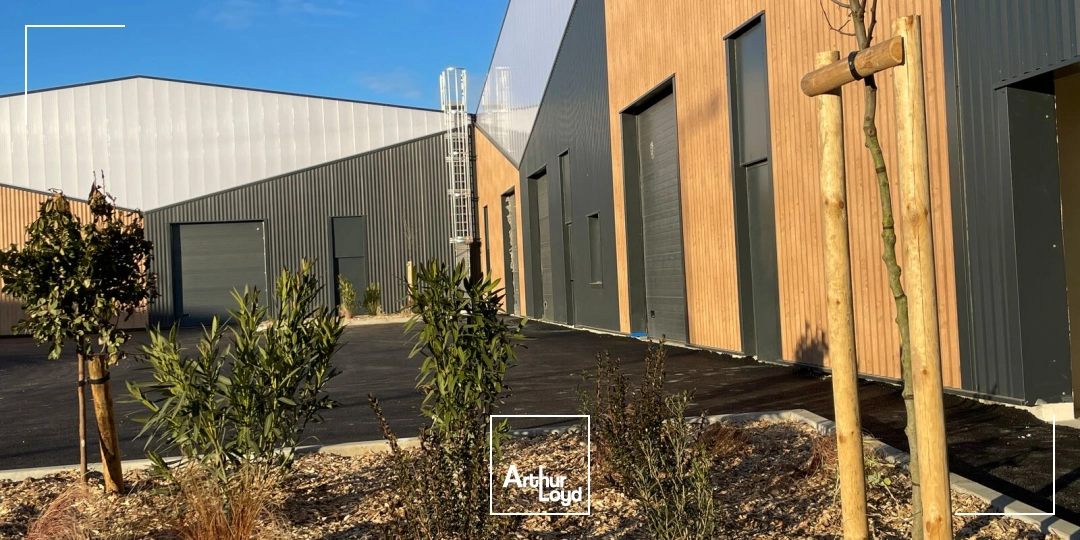 Locaux d'activité & Entrepôts - Location - BEZIERS - 34500 - 230.54-495.98 - 7829227