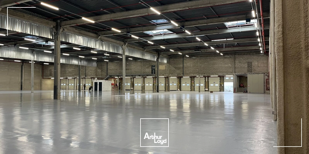 Locaux d'activité & Entrepôts - Location - SAINT WITZ - 95470 - 2686-10731 - 7836941