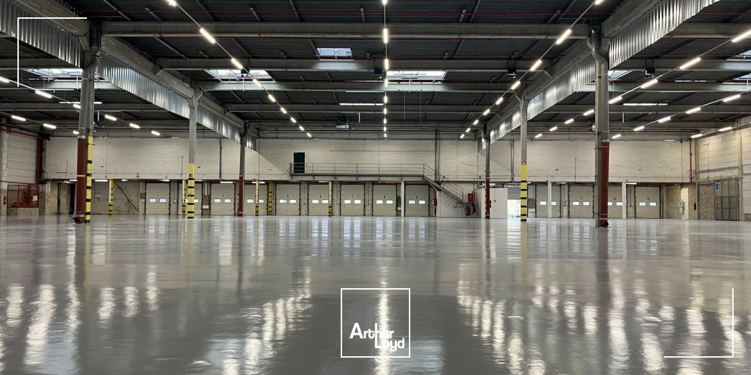 Locaux d'activité & Entrepôts - Location - SAINT WITZ - 95470 - 2639-8058 - 7836954