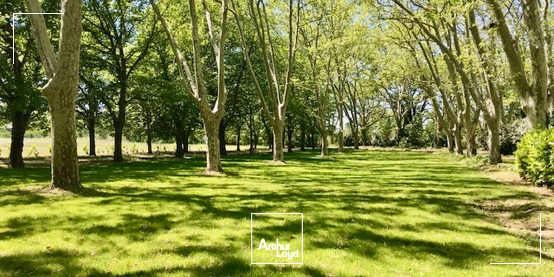 Locaux commerciaux - Vente - MALLEMORT - 13370 - 660-660 - 7840709
