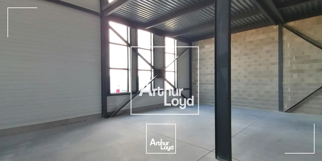 Locaux d'activité & Entrepôts - Location - SAINT GEORGES D'ORQUES - 34680 - 236-236 - 7848099
