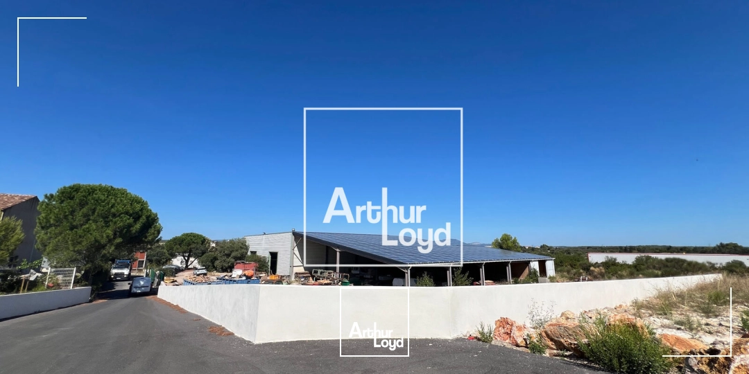 Locaux d'activité & Entrepôts - Location - SAINT GEORGES D'ORQUES - 34680 - 236-236 - 7848102