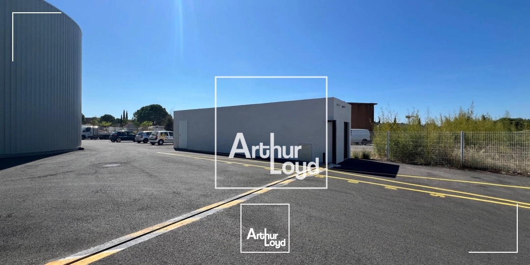 Locaux d'activité & Entrepôts - Location - SAINT GEORGES D'ORQUES - 34680 - 236-236 - 7848103