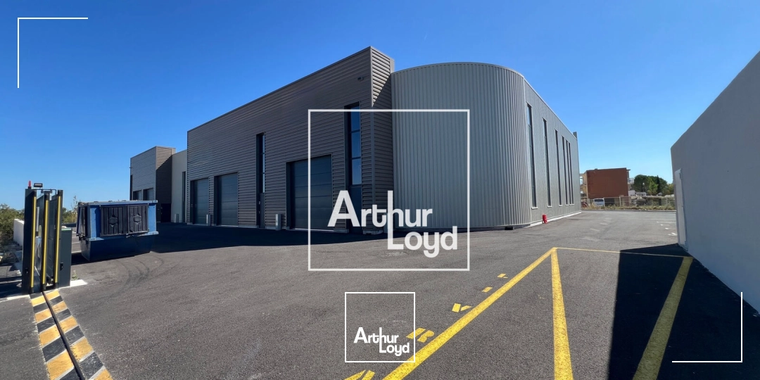 Locaux d'activité & Entrepôts - Location - SAINT GEORGES D'ORQUES - 34680 - 236-236 - 7848101