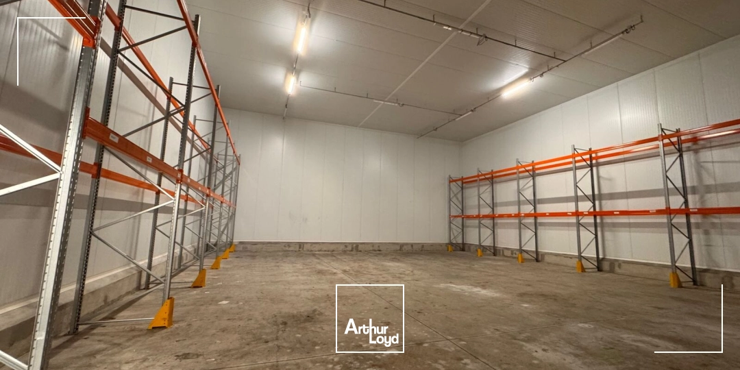 Locaux d'activité & Entrepôts - Vente - QUIMPER - 29000 - 285-18012 - 7848161
