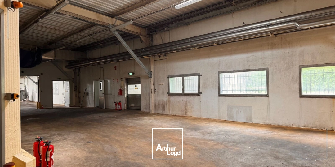 Locaux d'activité & Entrepôts - Vente - QUIMPER - 29000 - 285-18012 - 7848162