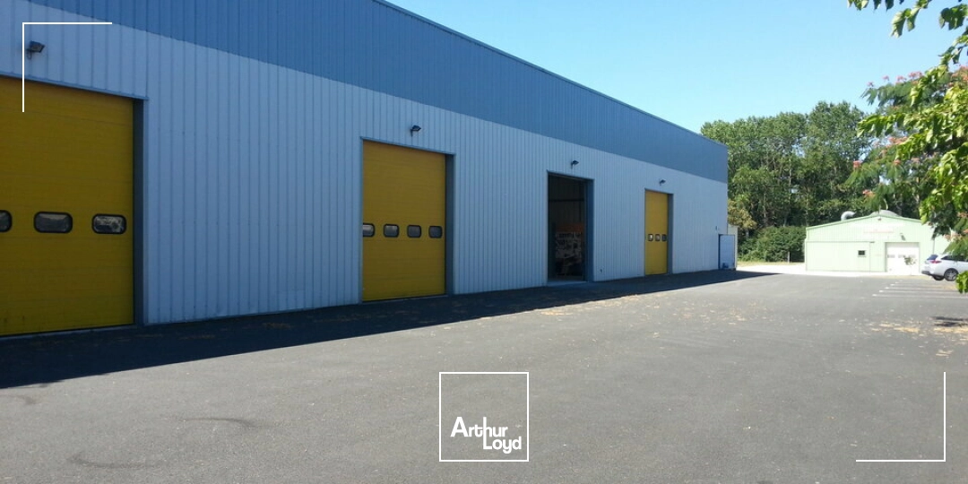 Locaux d'activité & Entrepôts - Location - ANTRAN - 86100 - 75-75 - 7857095