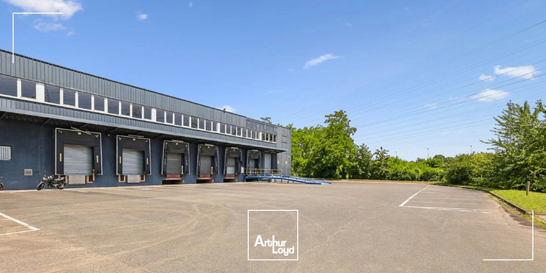 Locaux d'activité & Entrepôts - Location - PALAISEAU - 91120 - 1455-3841 - 7859050