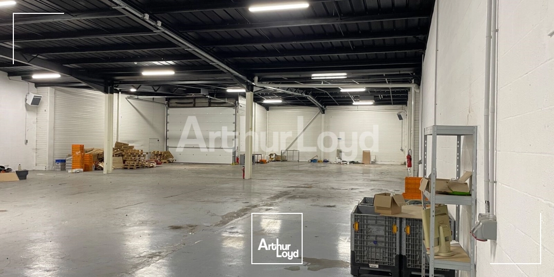 Locaux d'activité & Entrepôts - Location - LA SENTINELLE - 59174 - 738-738 - 7865284