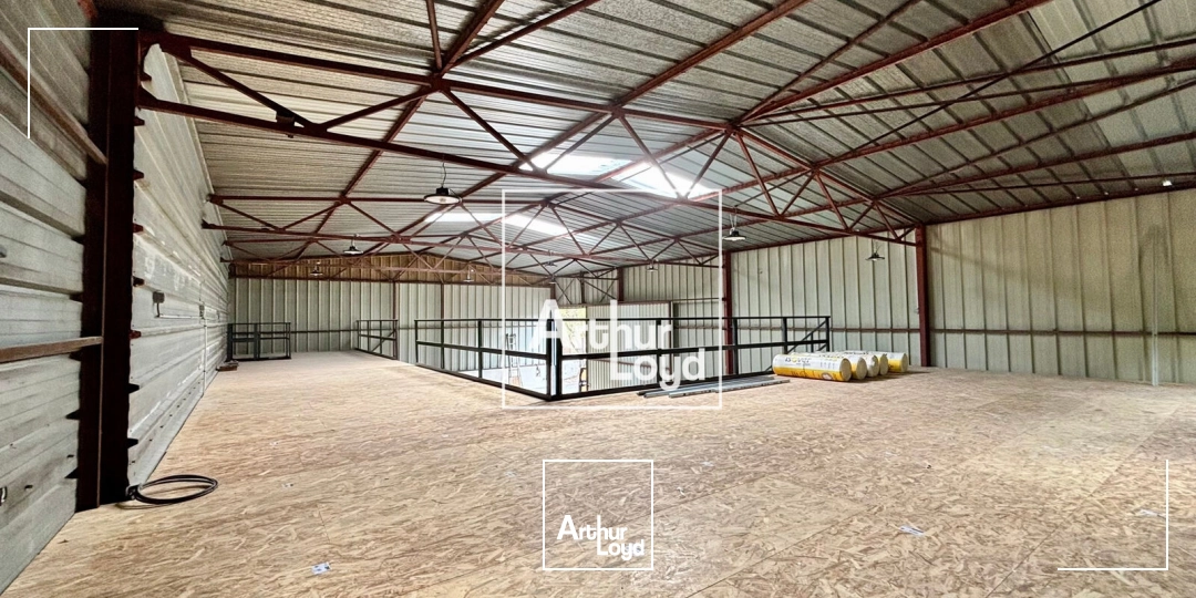 Locaux d'activité & Entrepôts - Location - SAINT JEAN DE VEDAS - 34430 - 382-382 - 7869893