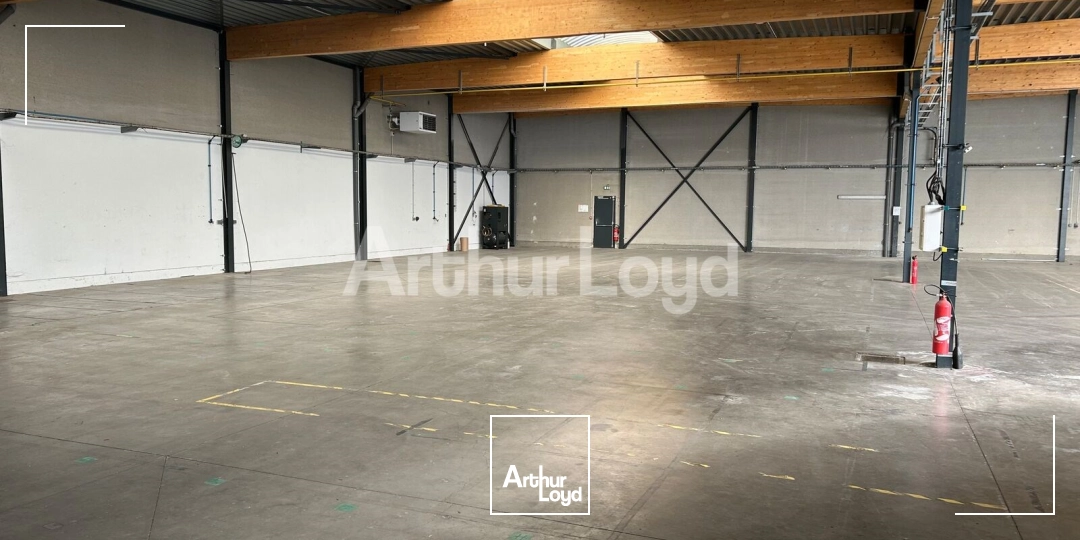 Locaux d'activité & Entrepôts - Location - BONDUES - 59910 - 1180-1180 - 7873503